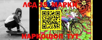 дмт Новозыбков