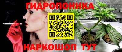прущие грибы Новокубанск