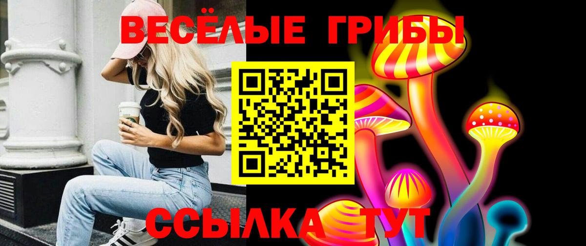 Галлюциногенные грибы прущие грибы Северск
