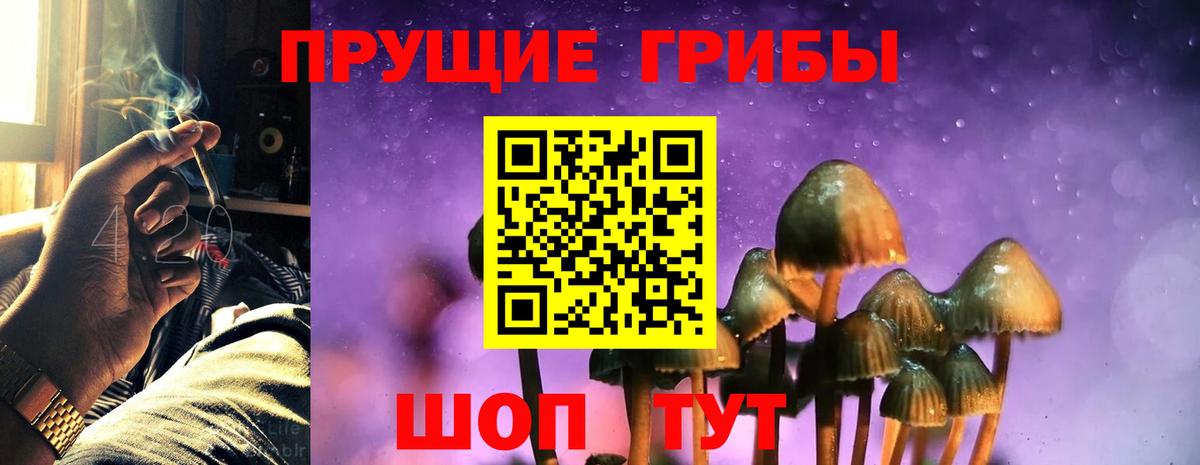 наркотики  Вход с VPN  Северск  Галлюциногенные грибы Psilocybine cubensis  Галлюциногенные грибы мухоморы 